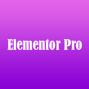 Elementor pro