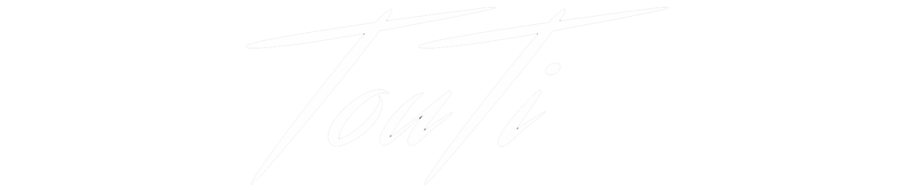 Logo touti transp